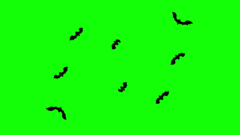 Halloween-bats-flying-loop-animation-Halloween-concept-element-with-alpha-channel